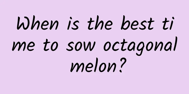 When is the best time to sow octagonal melon?