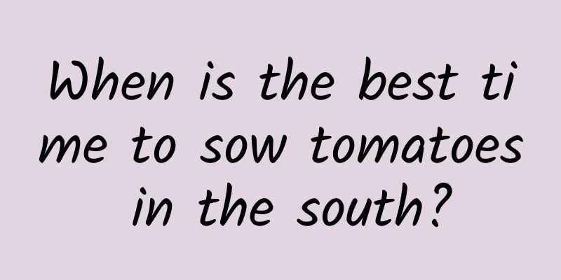 When is the best time to sow tomatoes in the south?