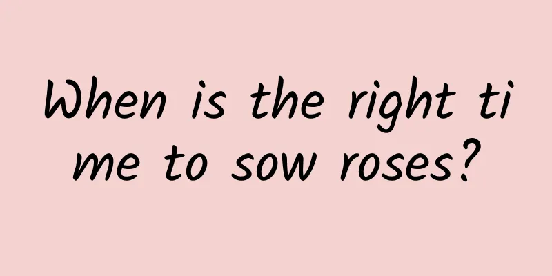 When is the right time to sow roses?