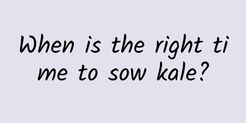 When is the right time to sow kale?