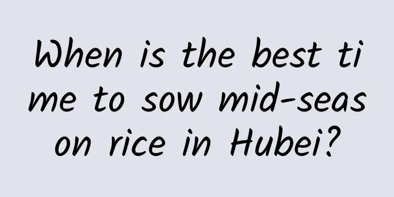 When is the best time to sow mid-season rice in Hubei?