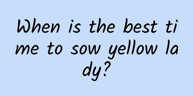 When is the best time to sow yellow lady?