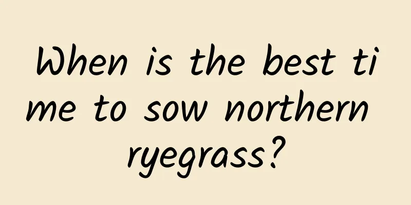 When is the best time to sow northern ryegrass?