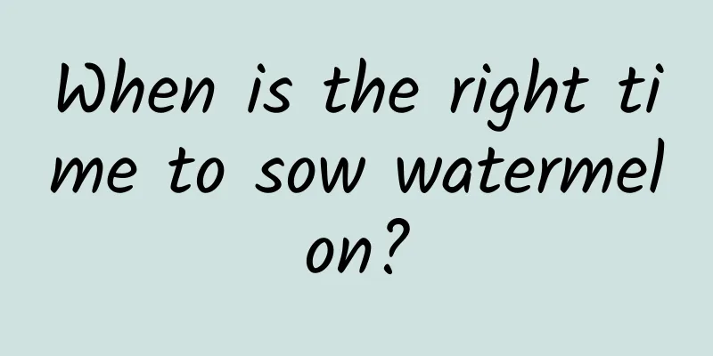 When is the right time to sow watermelon?