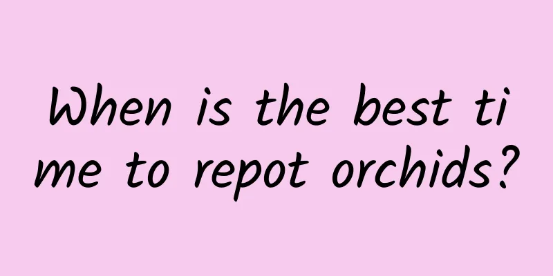 When is the best time to repot orchids?