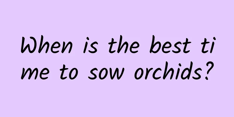 When is the best time to sow orchids?