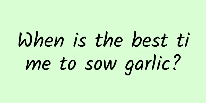 When is the best time to sow garlic?