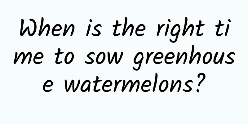 When is the right time to sow greenhouse watermelons?