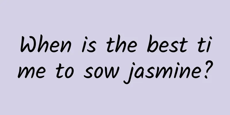 When is the best time to sow jasmine?