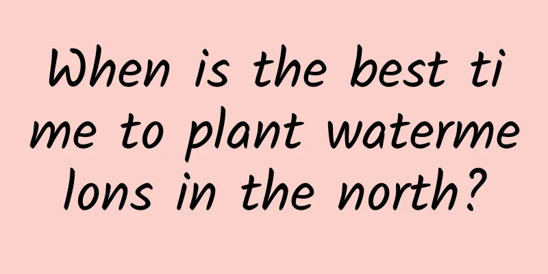 When is the best time to plant watermelons in the north?