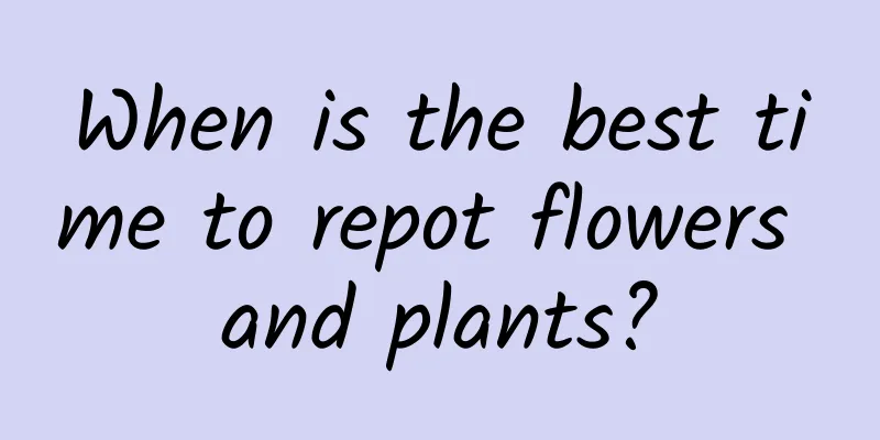 When is the best time to repot flowers and plants?