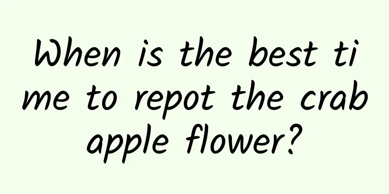 When is the best time to repot the crabapple flower?