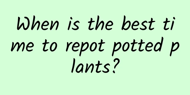 When is the best time to repot potted plants?