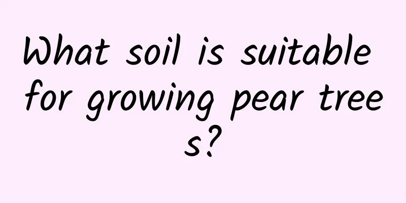 What soil is suitable for growing pear trees?
