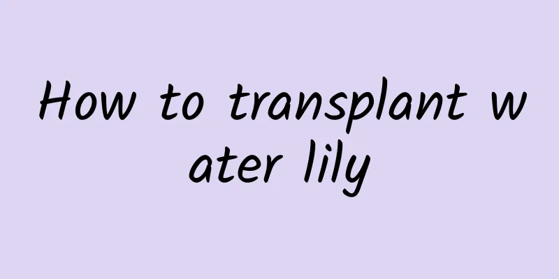 How to transplant water lily