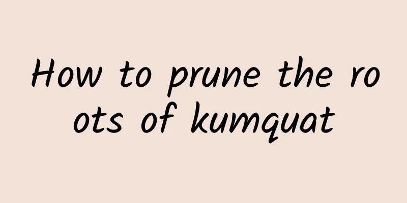 How to prune the roots of kumquat