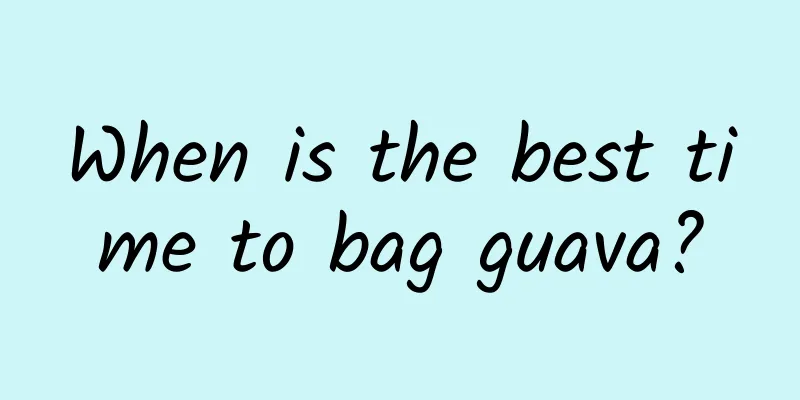 When is the best time to bag guava?