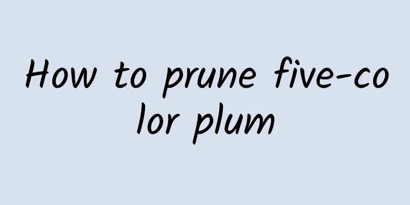 How to prune five-color plum