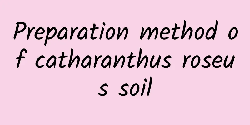 Preparation method of catharanthus roseus soil