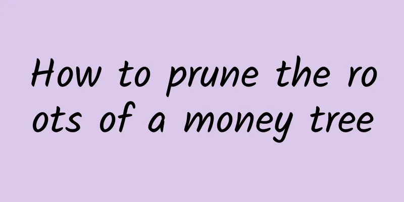 How to prune the roots of a money tree