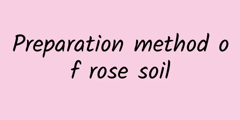 Preparation method of rose soil