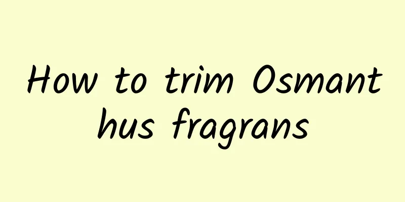 How to trim Osmanthus fragrans