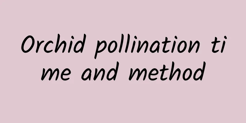 Orchid pollination time and method