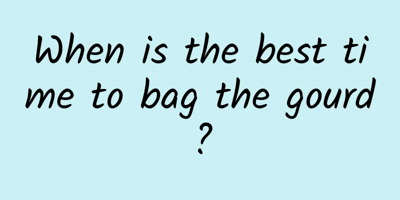 When is the best time to bag the gourd?
