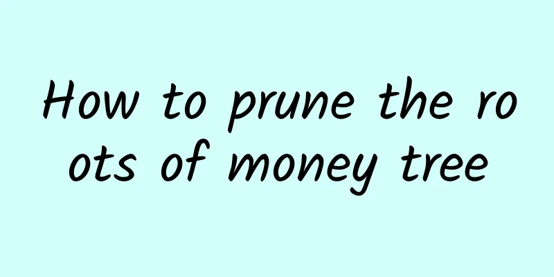 How to prune the roots of money tree