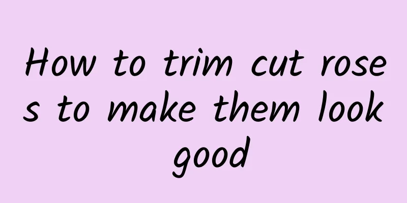 How to trim cut roses to make them look good