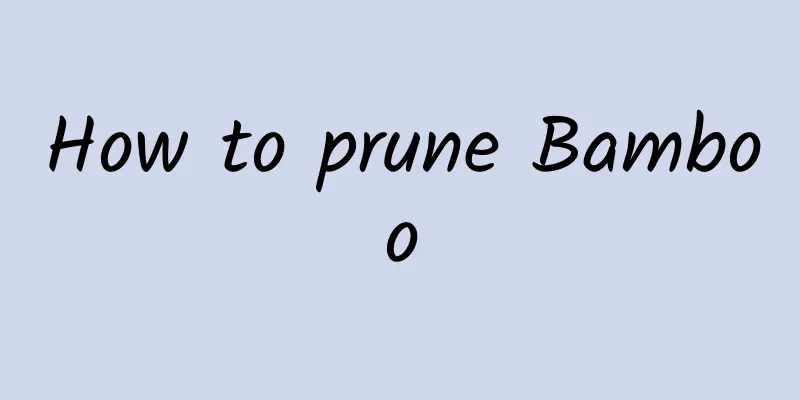 How to prune Bamboo