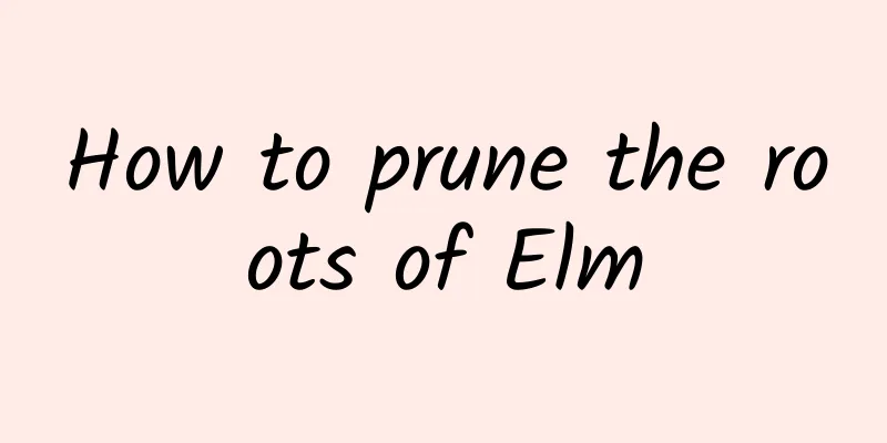 How to prune the roots of Elm