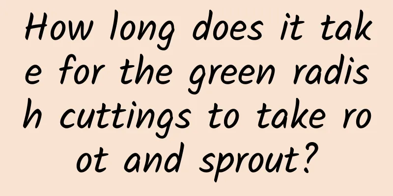 How long does it take for the green radish cuttings to take root and sprout?