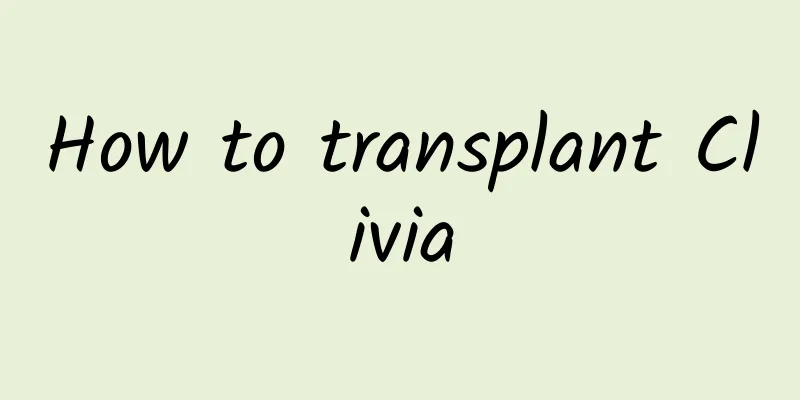 How to transplant Clivia