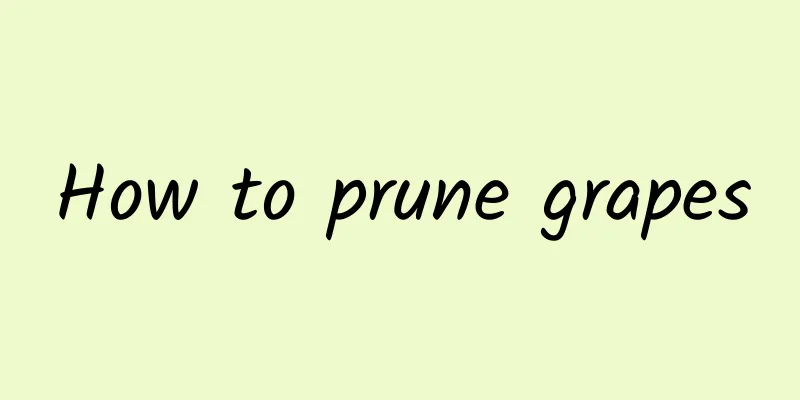 How to prune grapes