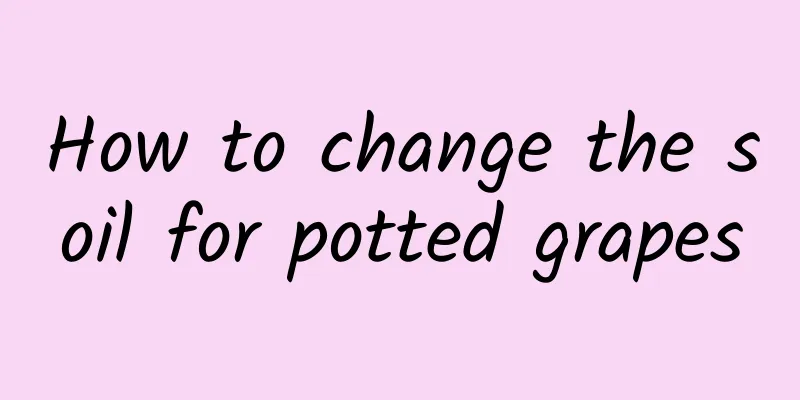 How to change the soil for potted grapes