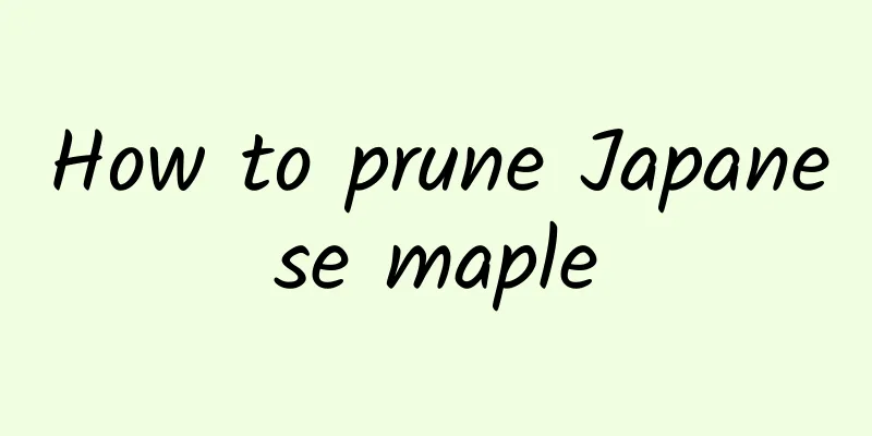 How to prune Japanese maple