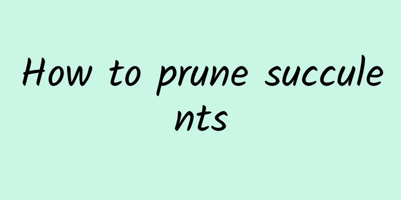 How to prune succulents