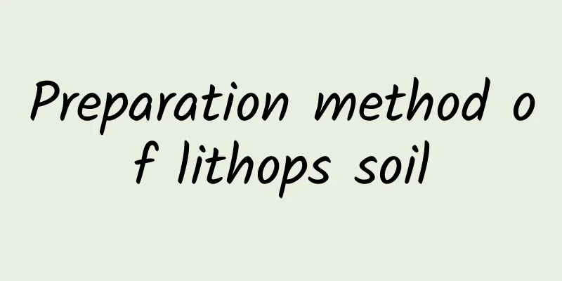 Preparation method of lithops soil