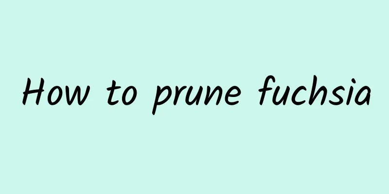 How to prune fuchsia
