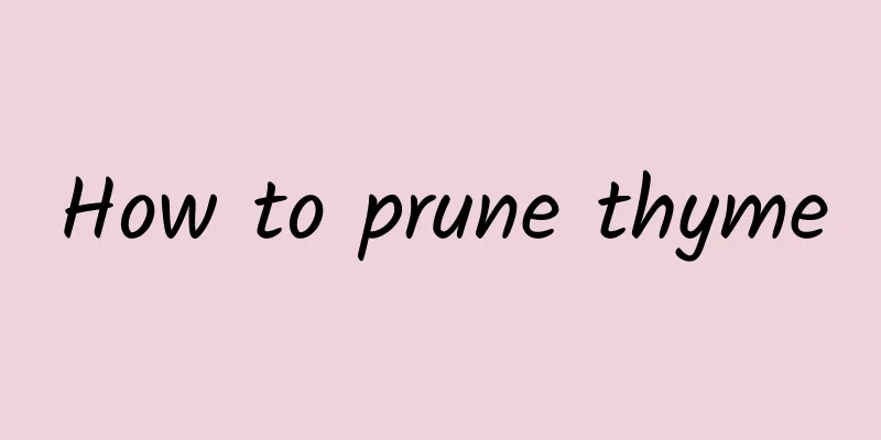 How to prune thyme