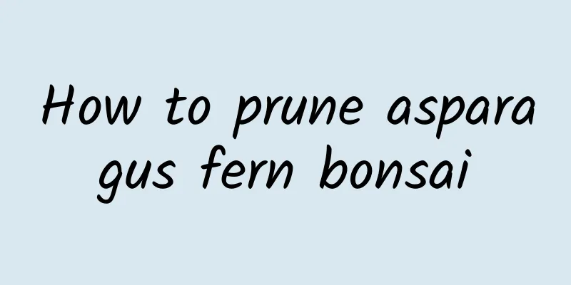 How to prune asparagus fern bonsai