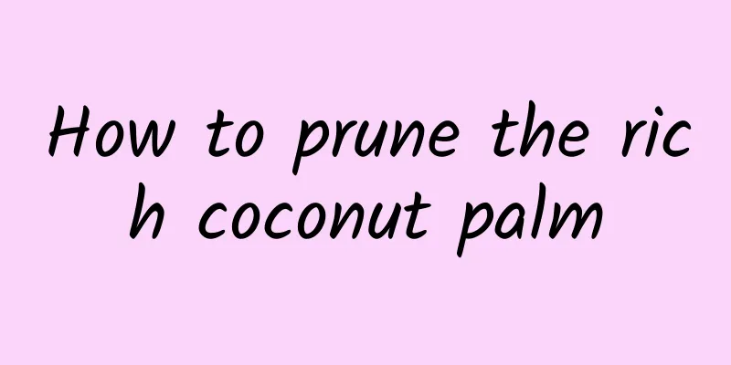 How to prune the rich coconut palm