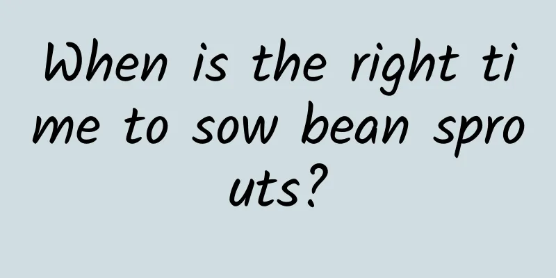 When is the right time to sow bean sprouts?