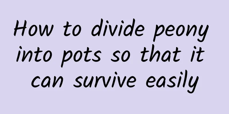 How to divide peony into pots so that it can survive easily