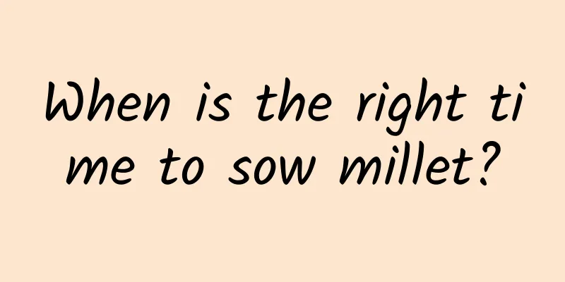 When is the right time to sow millet?