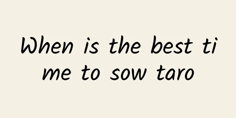 When is the best time to sow taro