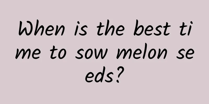 When is the best time to sow melon seeds?