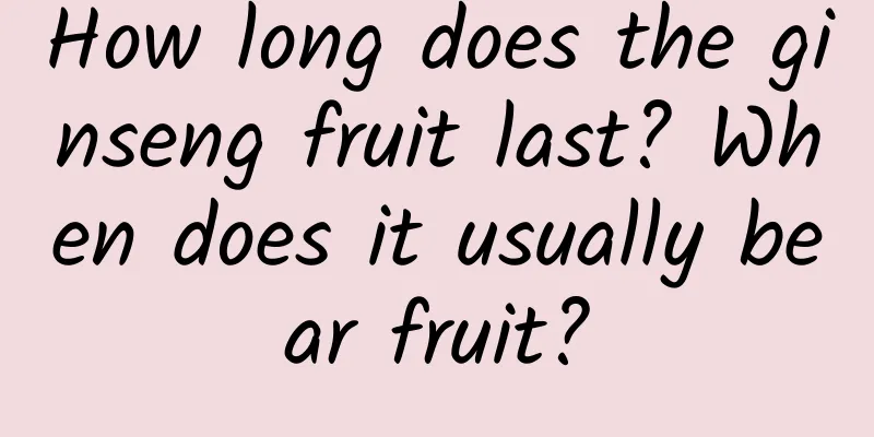 How long does the ginseng fruit last? When does it usually bear fruit?