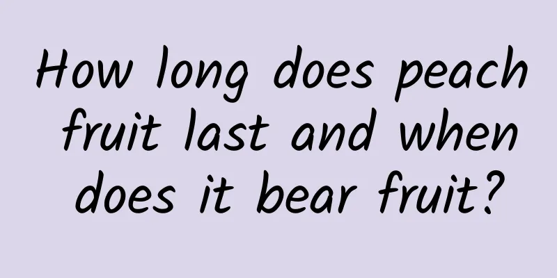 How long does peach fruit last and when does it bear fruit?